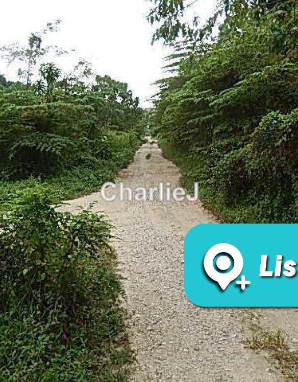 Balik Pulau – residential land for sale (photo 1 of 3)